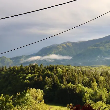 Pr Dev Appartement *